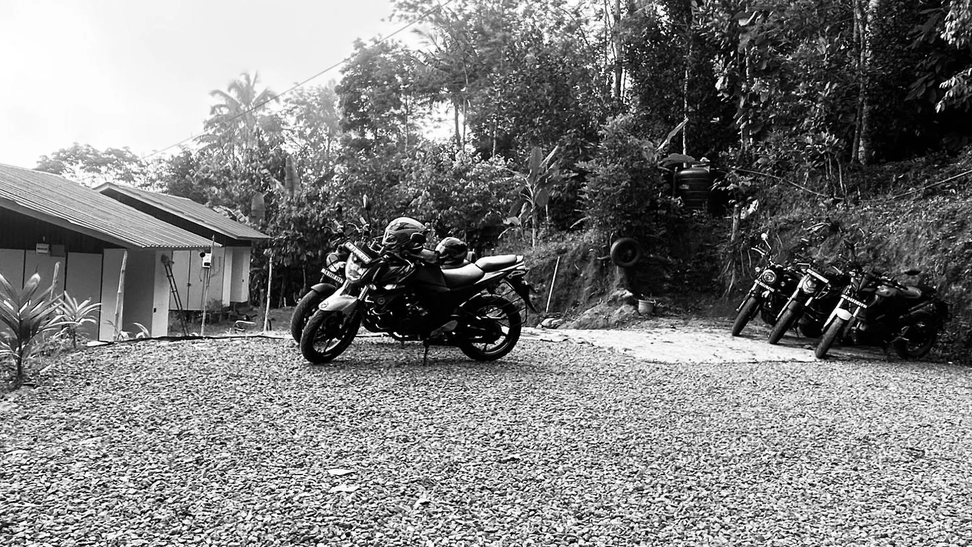 Serenehills Retreat Idukki